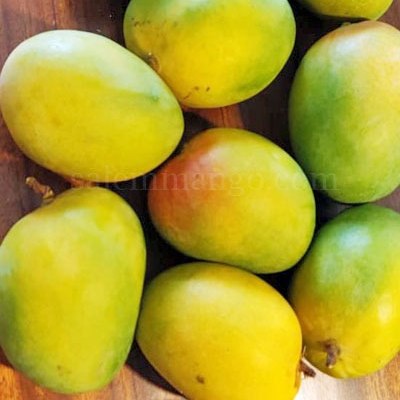 Mangoes
